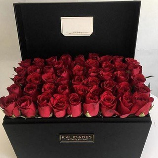 Логотип @vlkcjdzhjck - زنگ تفریح