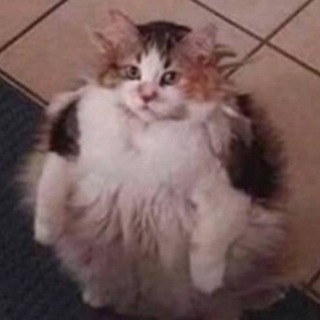 Логотип @vmesteplak - плакали вместе