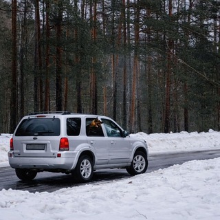 Логотип @vmestesbu - Вместе с Бу