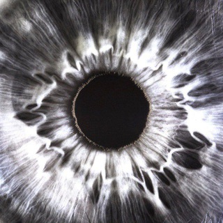 Логотип @vnatyredashachat - suum cuique