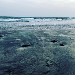 Логотип @vnetecheniya - Гнездилов. Вне течения