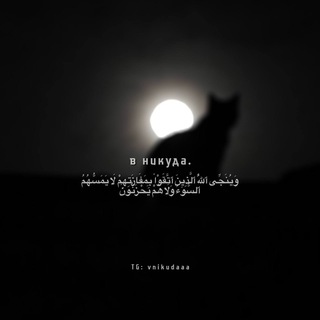 Логотип @vnikudaaa - в никуда