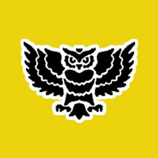 Логотип @Vnochnoydozor - Ночной дозор