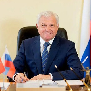 Логотип @vnplotnikov - Владимир Плотников