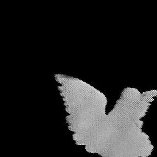 Логотип @vnsshoplyl - Vn S xylely