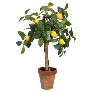 Логотип @vnukfilm - Vnukfilm