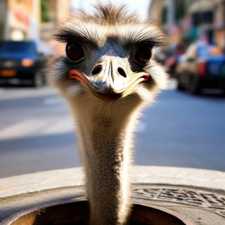 Логотип @vodilapolzaa - С пользой для водил