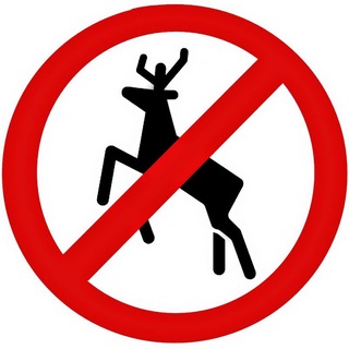 Логотип @voditeli_polshi_4at - Чат Водители Польши Дальнобой Европа