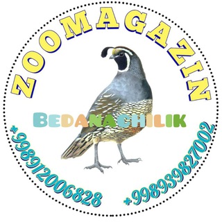 Логотип @vodiy_bedana - БЕДАНАЧИЛИК