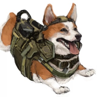 Логотип @voenkorgi - Военкорги