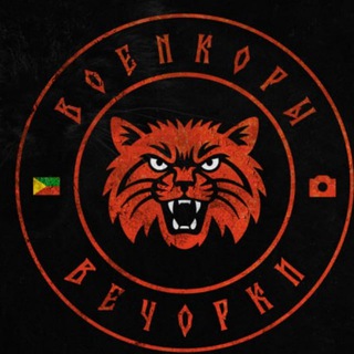 Логотип @voenkoryvechorki - Военкоры вечОРКИ