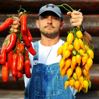 Логотип @vogorodepro - Vogorode.pro