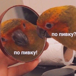 Логотип @voicefromparasha - Голос с параши