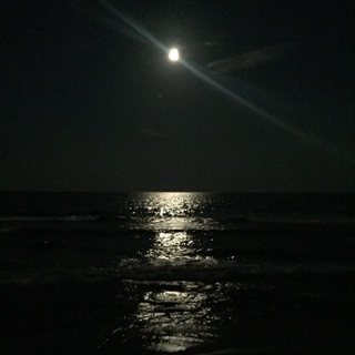 Логотип @voiceofmoon - The Voice of Moon