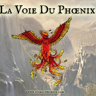 Логотип @voieduphoenix - La Voie Du Phoenix