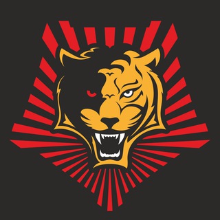 Логотип @voin_dv_res - Воин DV (резерв)