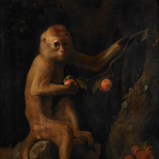 Логотип @voiti_it - ВОЙТИ В АЙТИ 💎