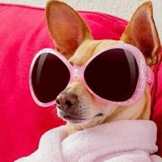 Логотип @vokrug_banok - Вокруг банок