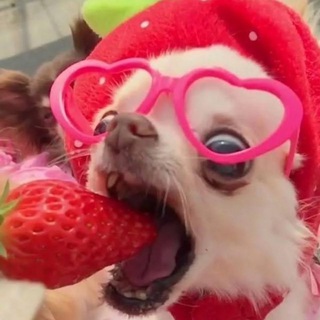 Логотип @vokrug_tarelok - Вокруг тарелок