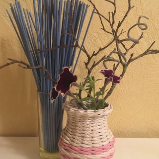 Логотип @volchebnaia_loza - Волшебная лоза