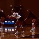 Логотип @voleybool_asist - Волейбольный Асистент