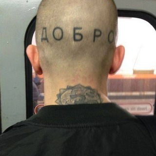 Логотип @volgaport - Гарначук- нетолерантное