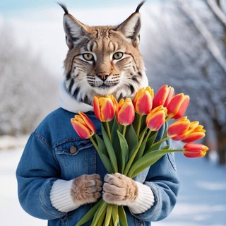 Логотип @volgatech_official - Volgatech