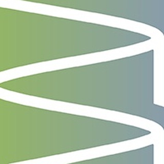 Логотип @volginskylicey - Лицей им.ак. И.А. Бакулова пос. Вольгинский