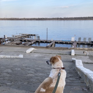 Логотип @volgogradiya - Волгоградия