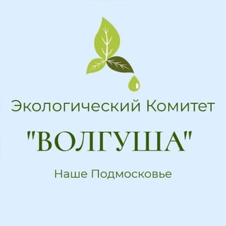 Логотип @volgusha_eco - Экологический комитет «Волгуша»