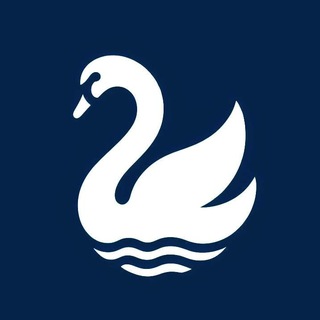 Логотип @volinsky_club - Институт Мета-Персональной Психологии