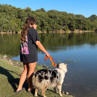 Логотип @volittaksist - вольт таксист