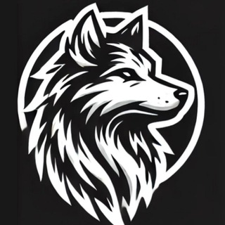 Логотип @volkcinema - VOLK CINEMA