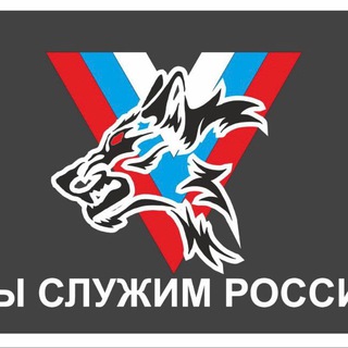 Логотип @volkisamara163 - Отряд Волки