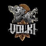 Логотип @volkisns - volkisns