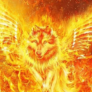 Логотип @volkodav73 - Волкодав73 ✈️