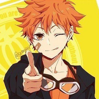 Логотип @volleyballno02 - Лучшие анимешники мира