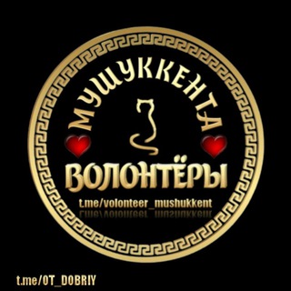 Логотип @volonteer_mushukkent - Волонтеры «Мушуккент» "пристроя кошек тут нет!"
