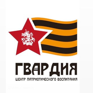 Логотип @volontergvardii - Гвардеец