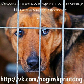 Логотип @volonteru_priut_noginsk_help - Сообщество волонтёров Ногинского приюта 🐕