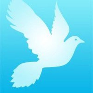 Логотип @volonterykryma - Добро Мира - Волонтёры Крыма