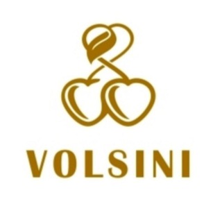 Логотип @volsiniclub - VolsiniClub