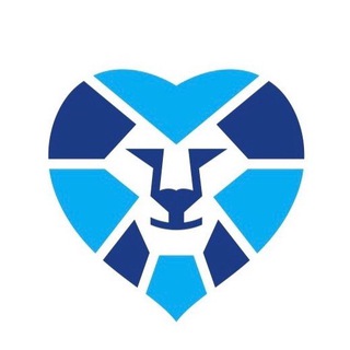 Логотип @volzenit - Волонтеры Зенита 💙