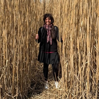 Логотип @vomichzumwir - 💕Vom Ich zum WIR💕