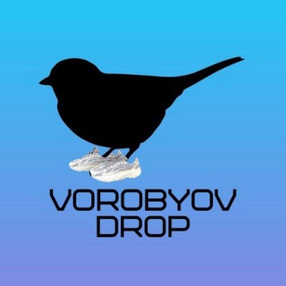 Логотип @vorobyov_drop - "Воробйов" дропшипінг / VOROBYOV DROP