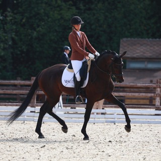 Логотип @voroninfamilystable - Voronina.nadezhda.a