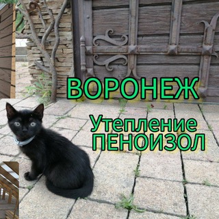 Логотип @vortex_36_penoizol - ТЕПЛО В ДОМ 🏠