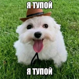 Логотип @vosh228 - vosh