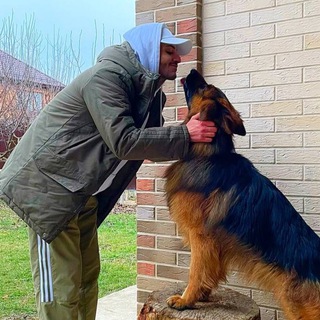 Логотип @vospitanie_dressirovka - Дрессировка и Воспитание Собак с Ромиком Наджаряном