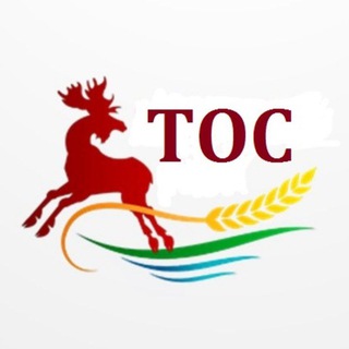 Логотип @vostttt - Территориальное общественное самоуправление п.г.т. Алексеевское